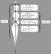 символы И-Цзин сопоставлены с позициями фигур тела